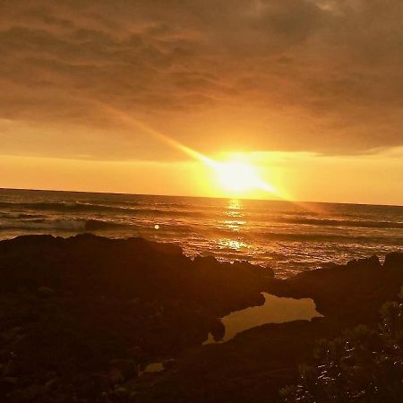 Unwind on Your Fantasy Hawaiian Vacation- 1BD/1BA Condo in Kailua-Kona, Hawaii Bagian luar foto