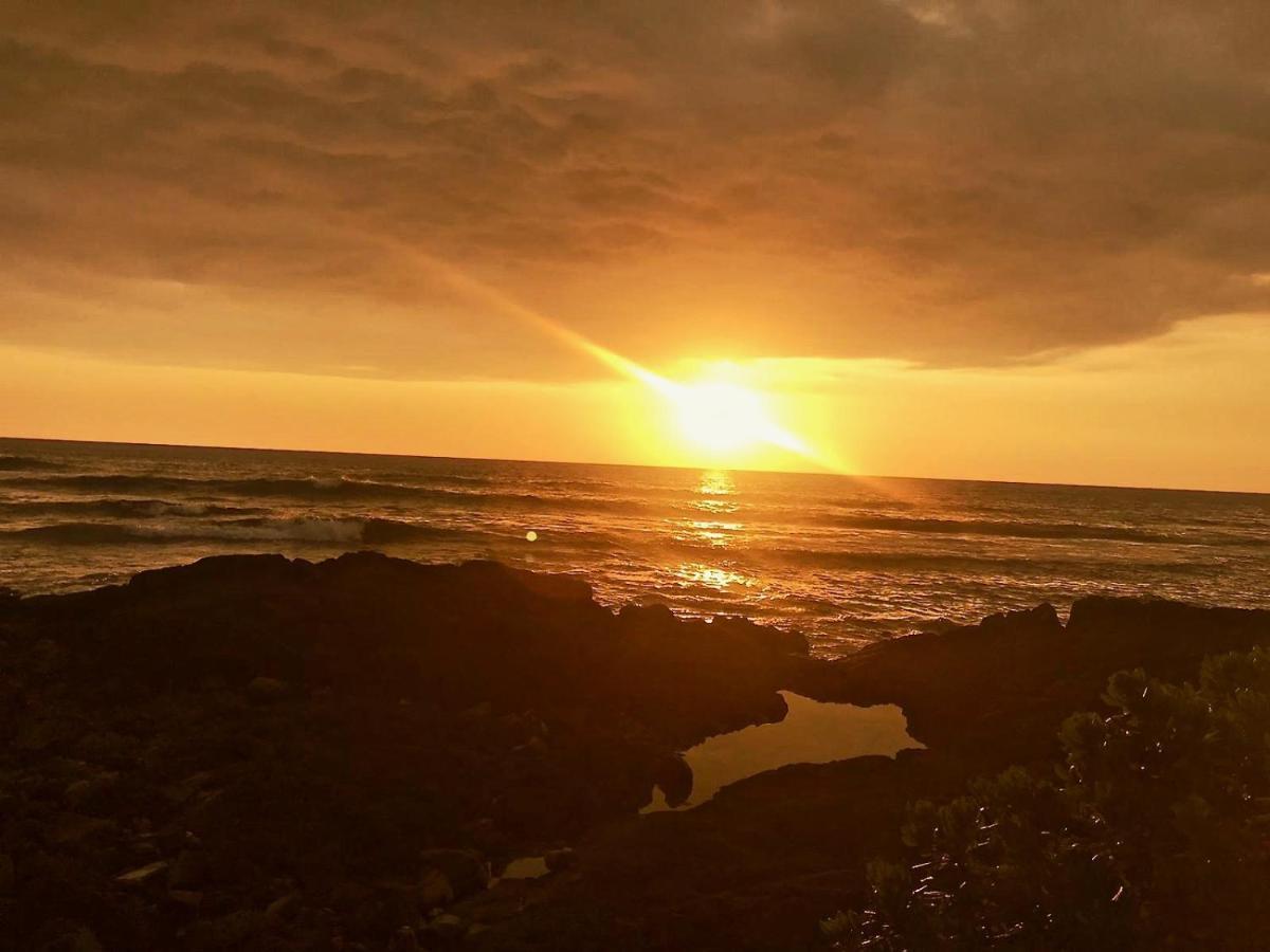 Unwind on Your Fantasy Hawaiian Vacation- 1BD/1BA Condo in Kailua-Kona, Hawaii Bagian luar foto