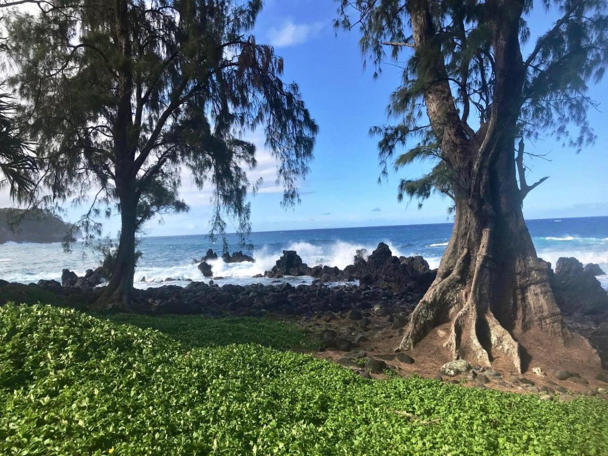 Unwind on Your Fantasy Hawaiian Vacation- 1BD/1BA Condo in Kailua-Kona, Hawaii Bagian luar foto